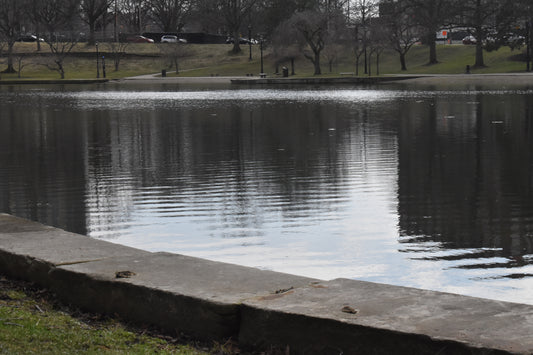 river edge